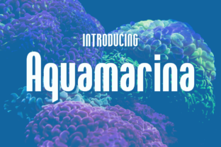 Aquamarina Font for Web Design
