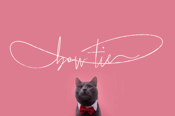 Bow Tie Font for Bold Branding