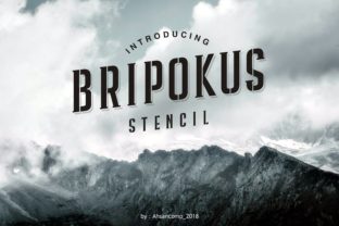 Bripokus Font for Bold Designs