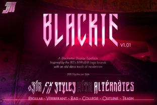 JVNE Blackie Font for Web Design