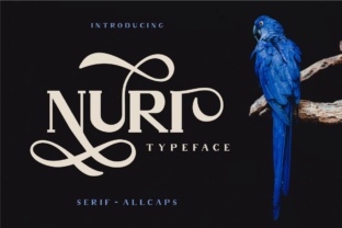 Nuri: A Display Font for Timeless Campaigns