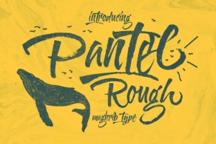 Pantel Rough Font for Bold Branding