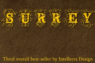 Surrey Font: Vintage Elegance for Display